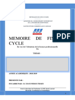 Memoire L3 Fin 2