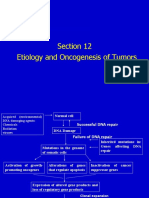 Section 12 Etiology and Oncogenesis of Tumors