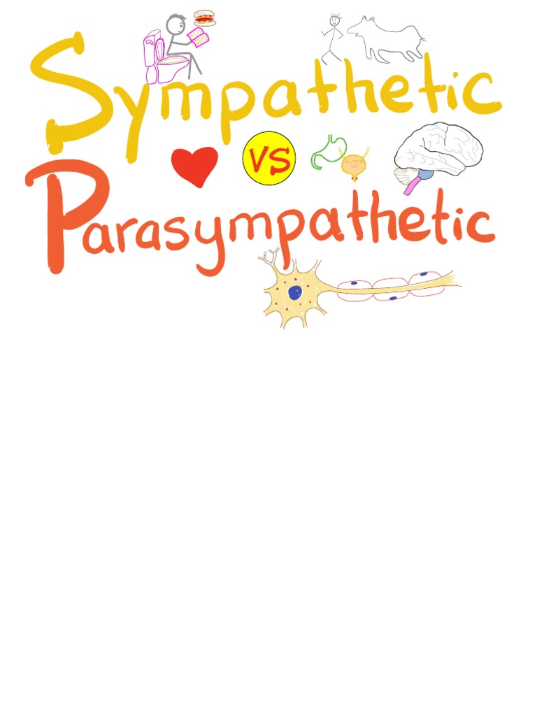 Parasympathetic nervous system visual data 4