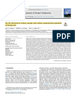 On The Theoretical Carbon Storage and Carbon Sequestration Potential