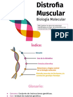 Distrofia Muscular Biología Molecular