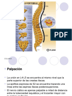 Anatomía columna lumbar