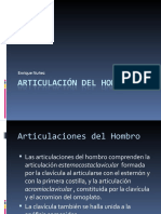 Articulación del Hombro