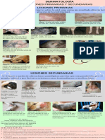 Dermatología Lesiones Primarias y Secundarias