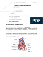 Ciclo cardíaco, dinámica y circulación coronaria