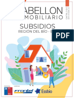 Revista Subsidios DS19 Bio Bio Noviembre 2020