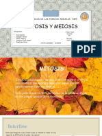 Exposicion Mitosis y Meiosis