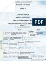 Cuadro Sinoptico - Estructura Del Sistema Cognitivo