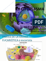 Celula Citoplasma-1 354939177