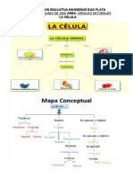 La Celula2