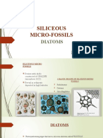 Siliceous Micro-Fossils: Diatoms