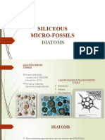 Diatoms: Siliceous Microalgae