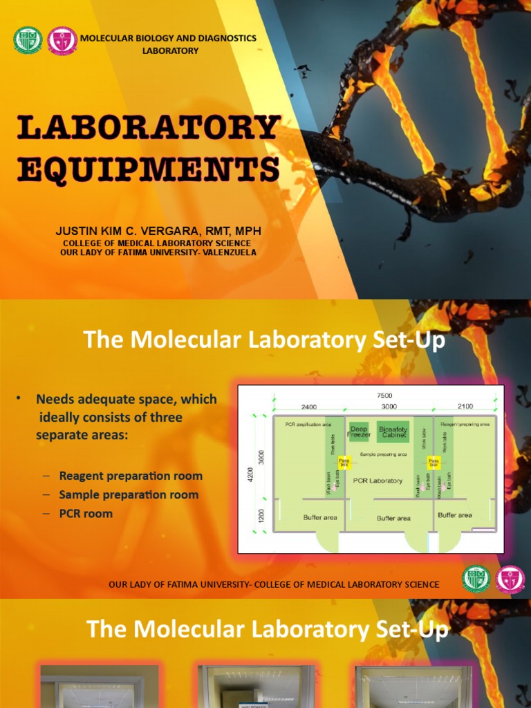 PCR Lab Setup & Contamination Control | PDF | Polymerase Chain Reaction ...