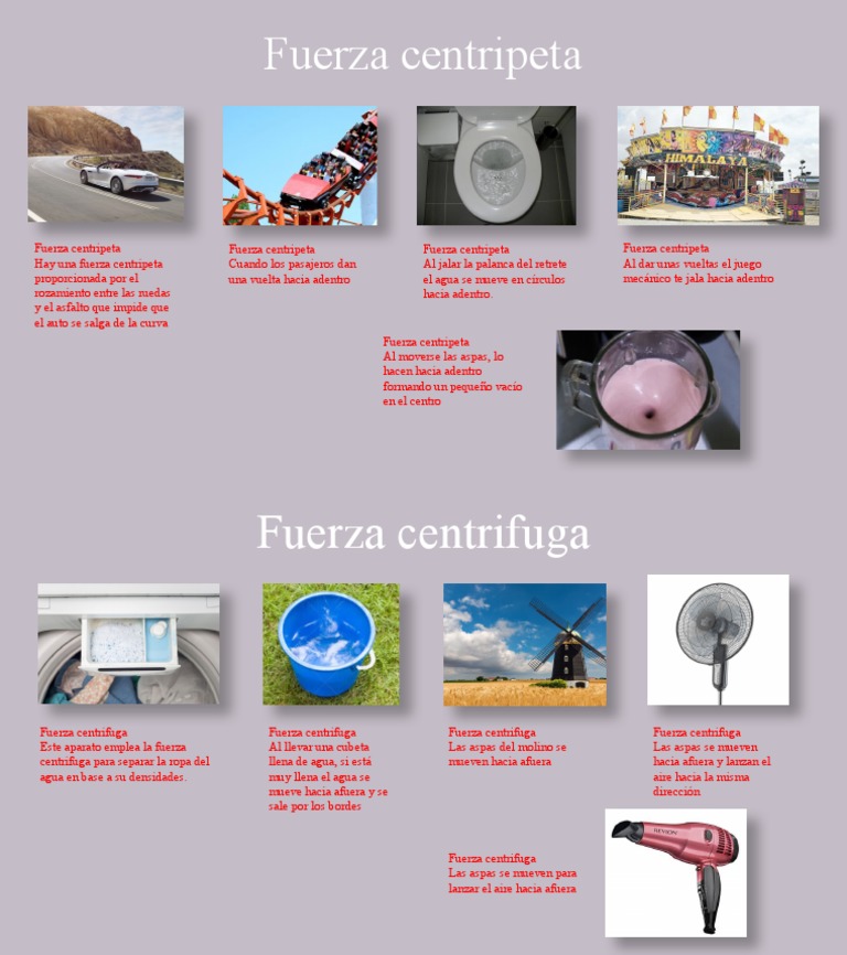 Fuerza Centripeta y Centrifuga | PDF