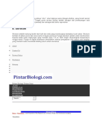 Materi Anatomi Fisiologi Reproduksi Pria