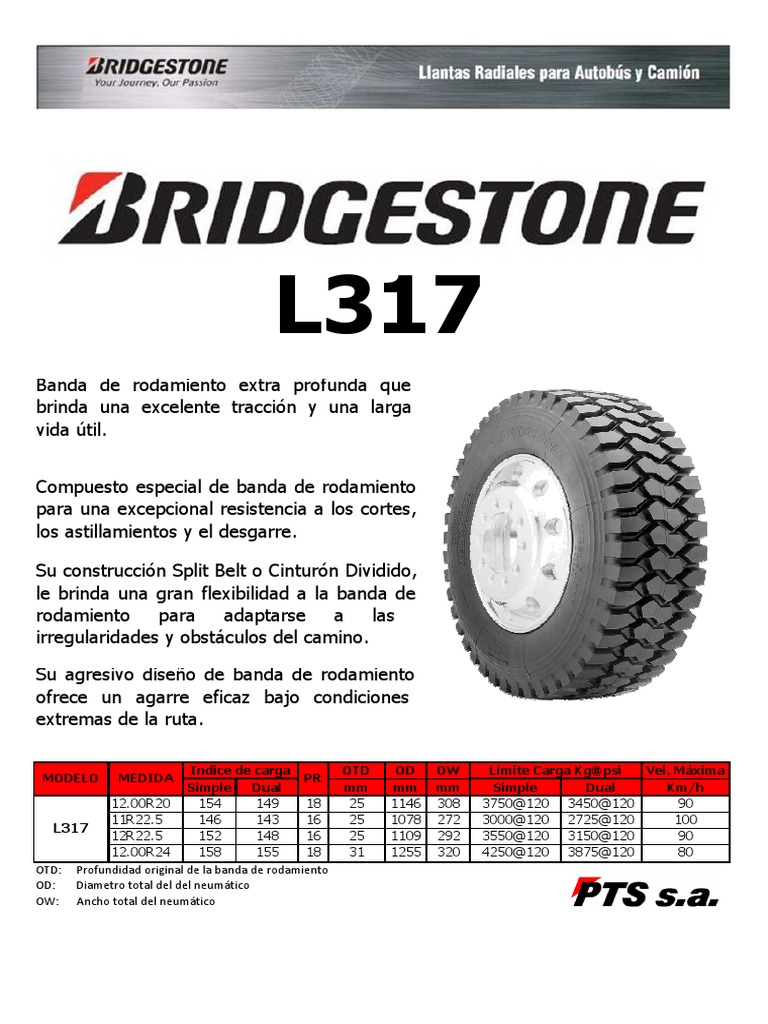 Ficha BS L317 | PDF