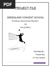 Project File Volleyball