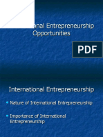 International Entrepreneurship Opportunities