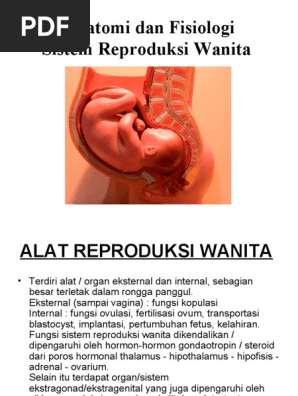 Anatomi Dan Fisiologi Sistem Reproduksi Wanita