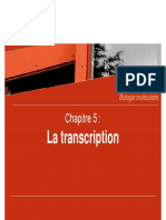 Transcription de l'ADN-5