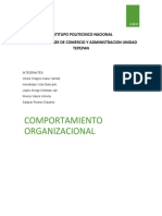 Comportamiento Organizacional Comportamiento Organizacional