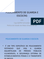 POLICIAMENTO DE GUARDA E ESCOLTAS - CFS