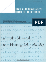 Estructuras Algebraicas VII (Estructuras de Algebras) - Artibano Micali - 1ed