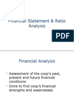 Financial Statement & Ratio Analysis Guide