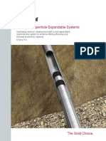 Metalskin Openhole Expandable Systems