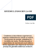 Sistemul Endocrin