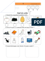 Fisa de Lucru Sunetul T
