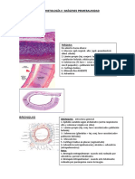 Histología Ii Imágenes Primera Unidad 2016