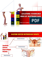 Anatomi Fisiologi Organ Reproduksi Wanita