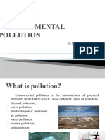 Enviromental Pollution: by Di Franco Alessandro