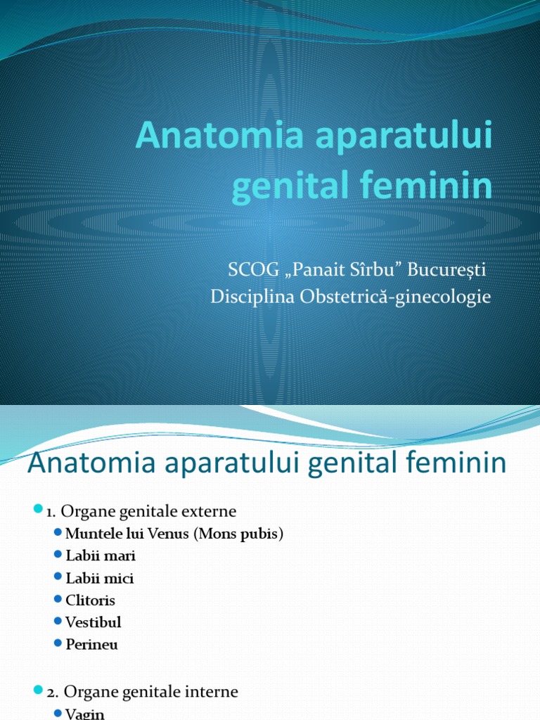 Anatomia Aparatului Genital Feminin | PDF