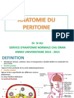 Anatomie Du Peritoine