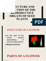 Structure and Function of The Reproductive Organs of Seed Plants