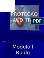 Aula 11 - Protecao Auditiva