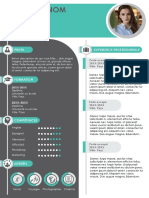 102-modele-cv-power-point