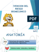 Prevención Del Riesgo Biomecanico