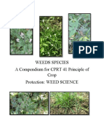Weeds Species A Compendium For CPRT 41 Principle of Crop Protection: WEED SCIENCE