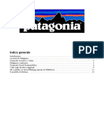 Relazione Patagonia Calbri M.inno