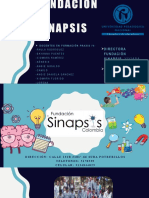 Presentacion Sinapsis