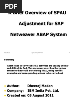 A Brief Overview of SPAU Adjustment For SAP Netweaver ABAP System