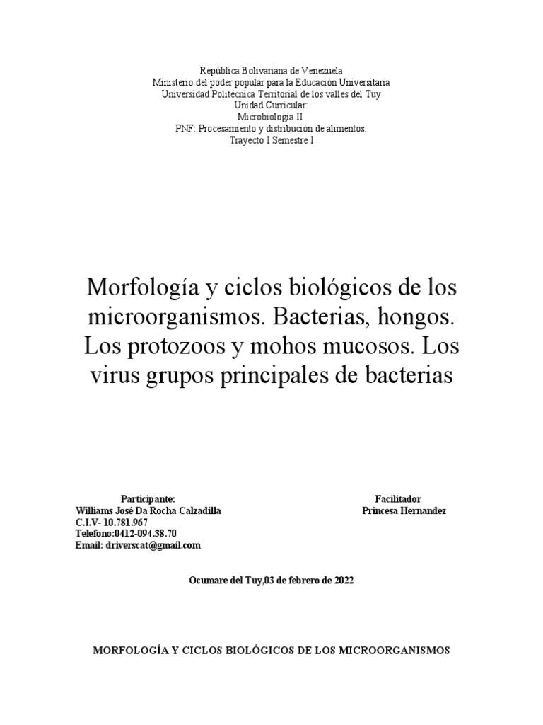 Morfología y Ciclos de Microorganismos | PDF | Virus | Las bacterias