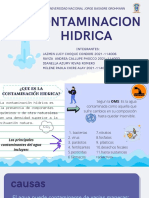 Contaminación de Las Cuencas Hídricas...