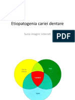 LP Td2-cauzele cariei dentare