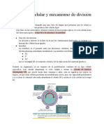 Ciclo celular, división y estructura cromosómica