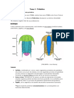 Tema 1 Trilobites