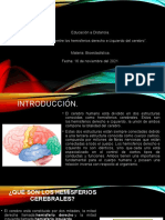 Cuadro Comparaativo de Los Hemisferios